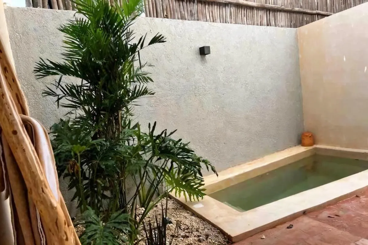 Xaana Private Pool 2 Bed Wifi 300 Mbps Rooftop Tulum Apartment
